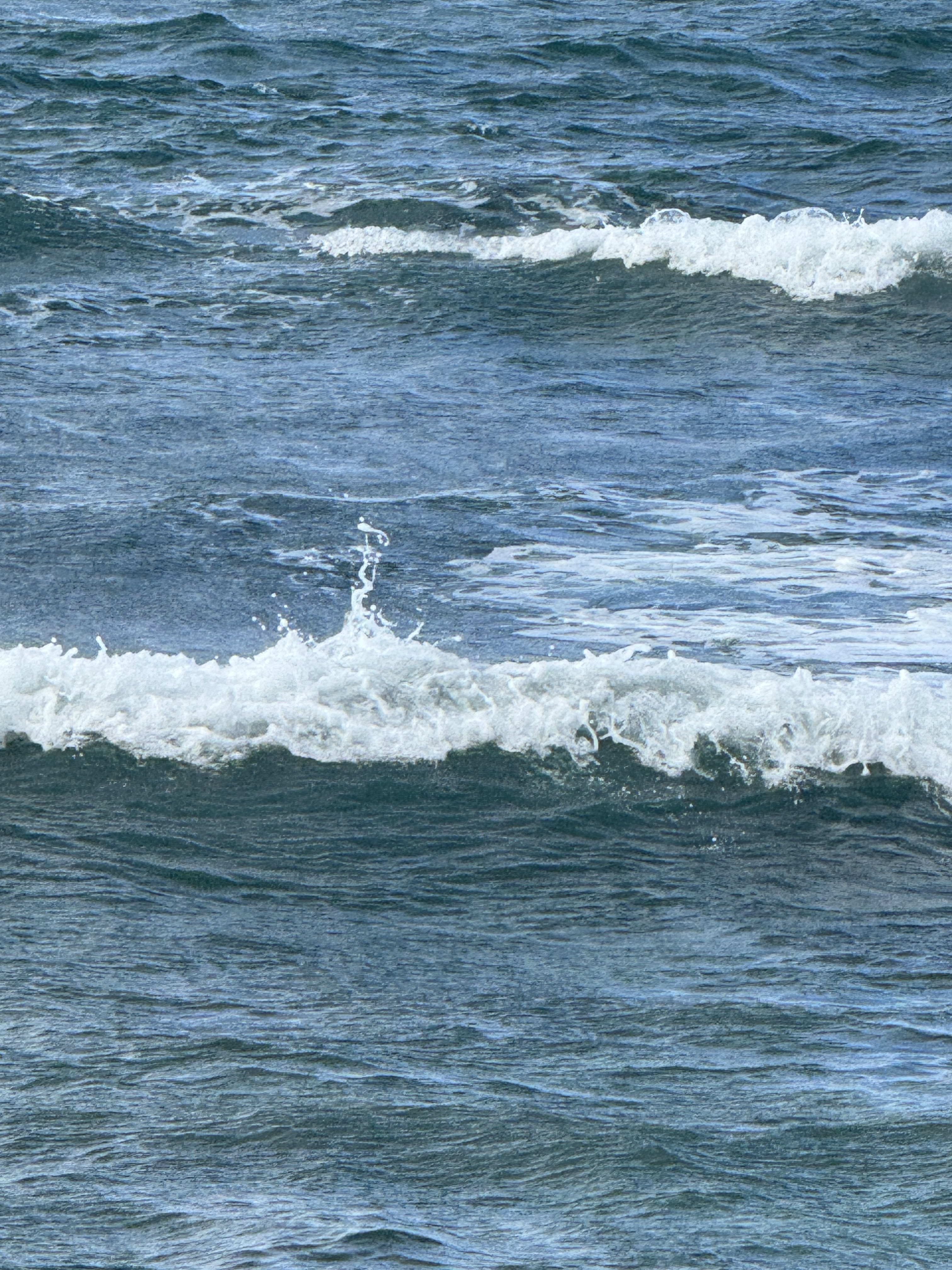 Pause for the Planet