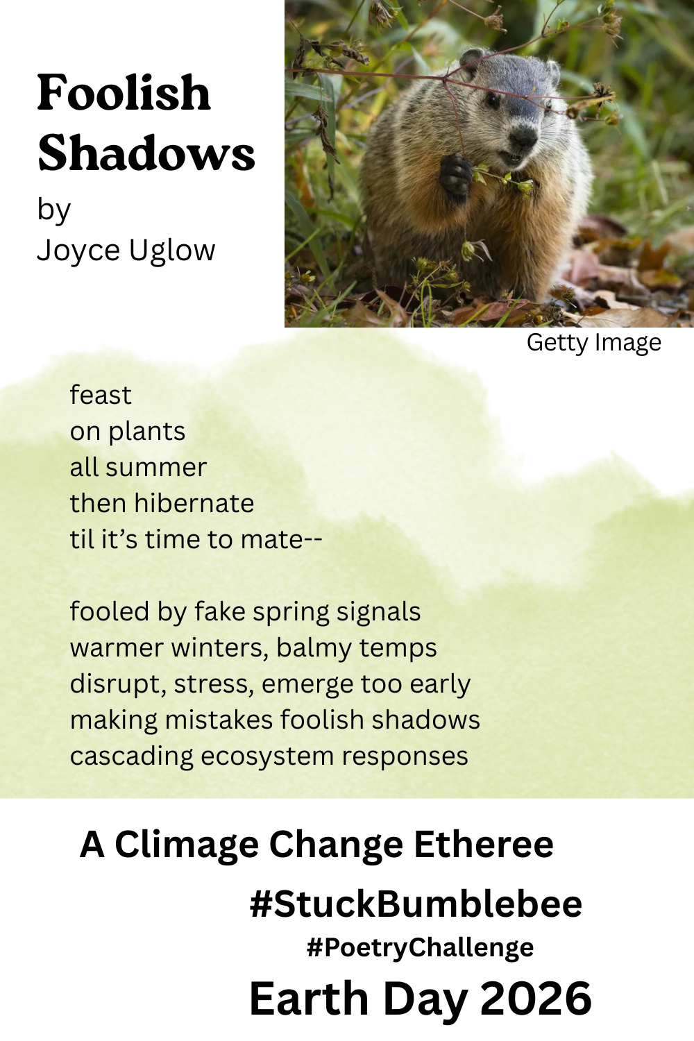 "Foolish Shadows" Etheree poem