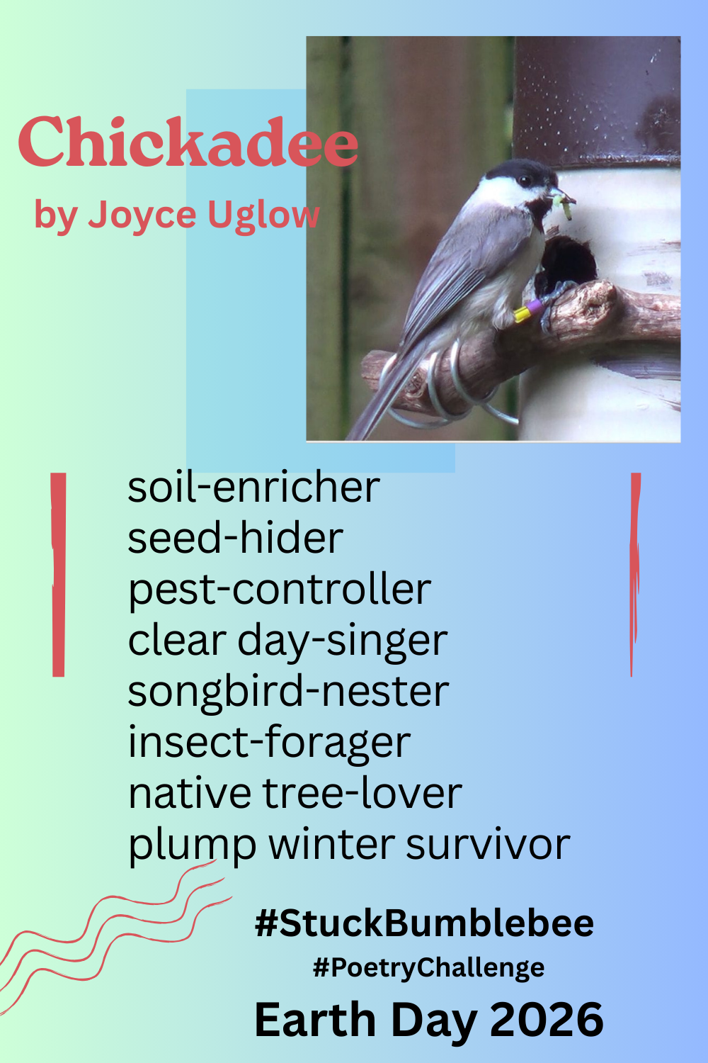 Chickadee
Our Earth Day Representative