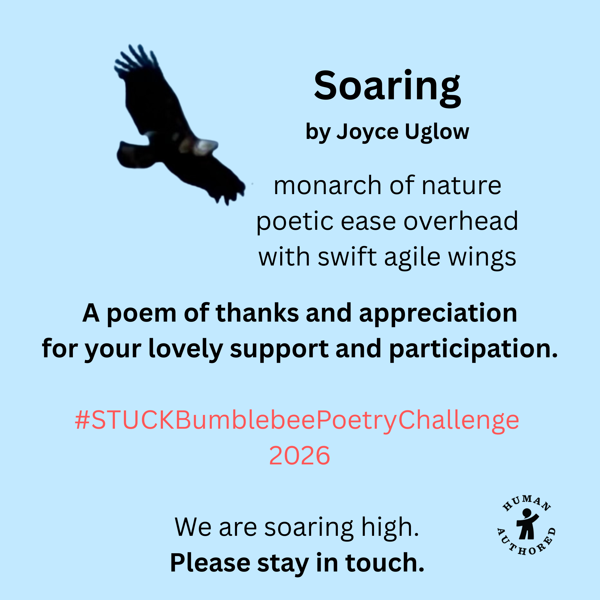 image of eagle with poem