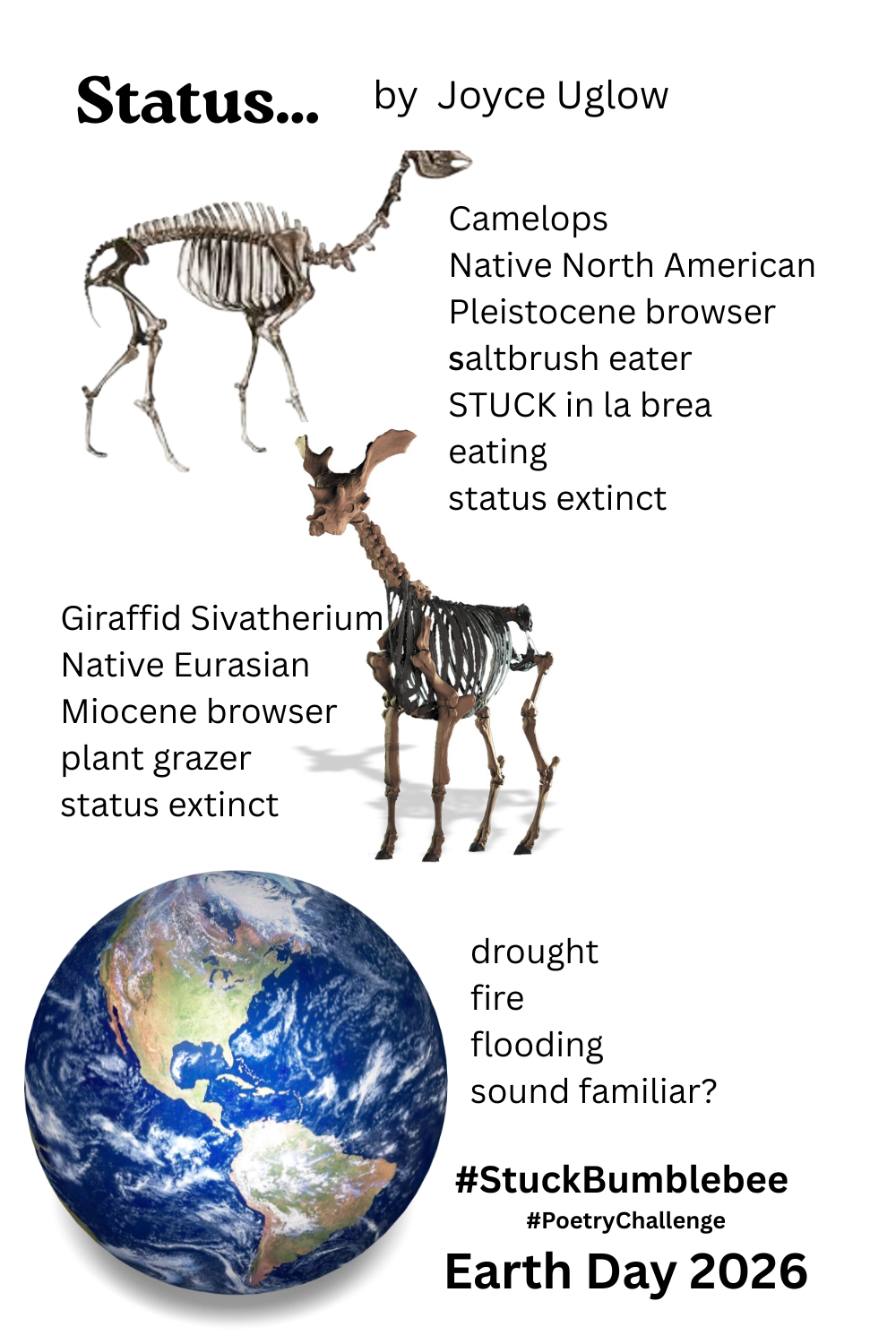 Extinction is Forever